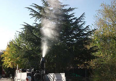 tratamientos contra procesionaria garden plus