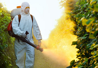 tratamientos de vides y cultivos garden plus