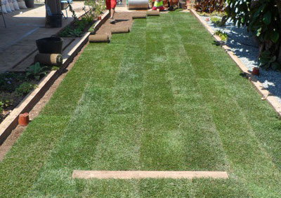 cesped en tepes garden plus